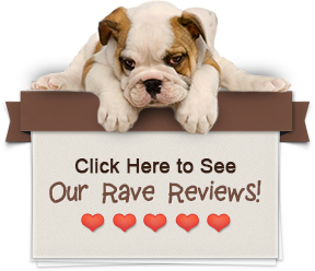 Click here to see our rave reviews! Click here to see our rave reviews!